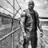 fast and furious 8 / #1079040