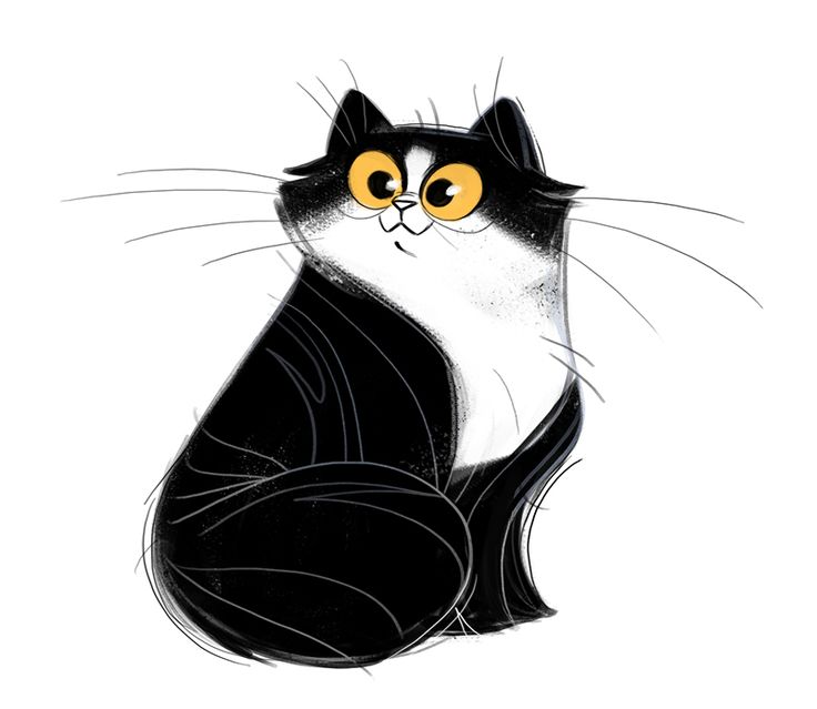 siyah beyaz kedi uludağ sözlük galeri