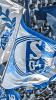 fc schalke 04