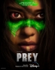 prey filmi