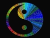 yin yang