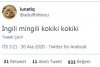 ingili mingili kukkikki / #2111898