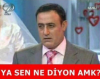 karı diyen öküzleri gırtlaklama isteği / #2113098