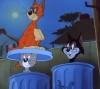 tom ve jerry deki tom a rakip olan kediler / #1586653