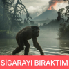 ben ne zaman insan olacağım diyen maymun