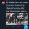 mazgala bakan sokak köpeği / #2096777