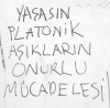 platonik aşkın terbiyesiz olduğunu anlamak / #1545994