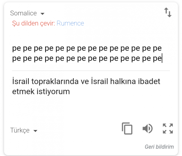google translate deki israil propagandası