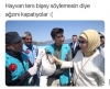 ilkokul mezunu emine erdoğan / #1898677