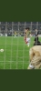 16 eylül 2021 eintracht frankurt fenerbahçe maçı / #2185990