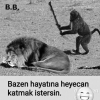 artık kapatın sözlüğü / #2321982