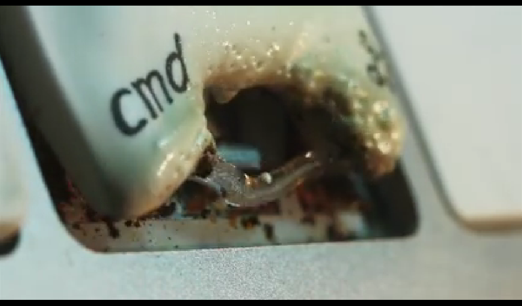 cmd