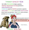 itperest / #2427621