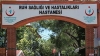 10 sene sonra kendinizi nerde görüyorsunuz / #2008737