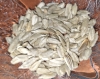 çekirdek içine para verip yemek / #2354293