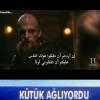 floki ile dosta doğru / #1298947
