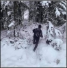 ne görüyorsunuz / #2261234