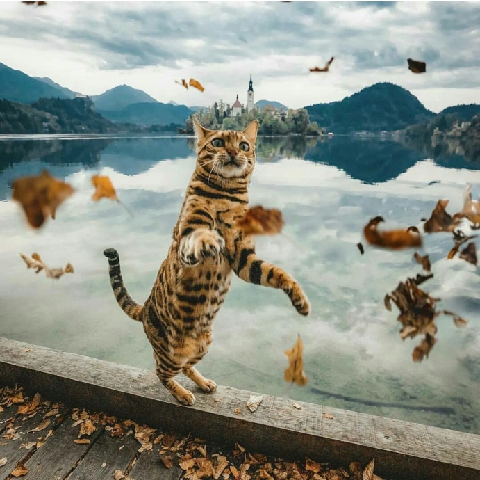 erdoğan antalya dan kıbrıs a kedi uçurdu