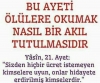 ölülere yasin okumak / #1635101