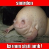 allah sucuğa güvenseydi sucuğa zar koymazdı / #1083994