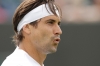 david ferrer / #1100872