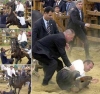 gazi mareşal recep tayyip erdoğan / #1925408