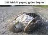 ilkay isimli arkadaşa ocak diye seslenmek / #1164597