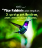 allah / #2425329