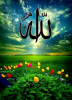 allah / #2426041