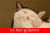 çomar dediğiniz halk sizi darbeden kurtardı / #1141139
