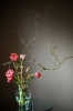 ikebana / #1940647