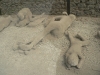 pompeii şehrindeki insan kalıntıları / #1972316