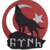 bozkurt / #2426132