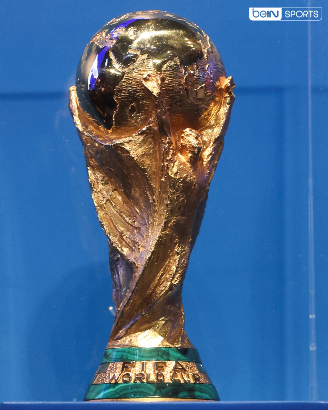 fifa dünya kupası