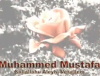 hz muhammed / #2425858