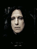 severus snape / #1671286