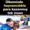 hayvancılık / #1995754