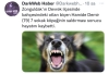 yedi sokak köpeği saldırısı sonucu ölen insan / #2255619