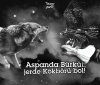 aspanda bürküt yerde gökbörü ol
