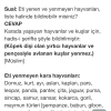 ayı eti yenir mi / #2109427