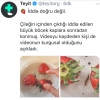 çileğin içinden böcekler çıkıyor iddiası