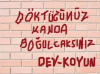 dev koyun / #2242004