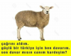 evet mi hayır mı kararsızlığı / #1325062
