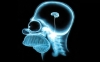 kemalist kafası