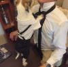 sözlük yazarlarının köpekleri