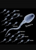 arkadaki sperme yol veren centilmen sperm