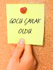 gocu nun çaylak olması