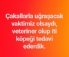 gecenin duvar yazısı / #1287458