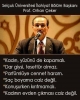 kadın saçından tahrik olan insanlara saygı duymak / #1318940