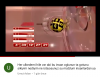 28 aralık 2017 süper loto çekilişindeki gariplik / #1608777